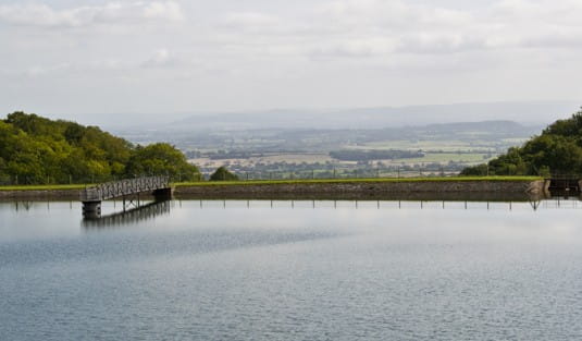hayes meadow image