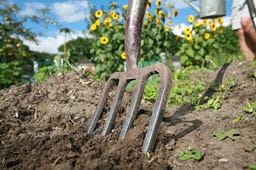 Converting agricultural land into allotments