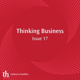 red background with white writing of Thinking Business Issue 17
