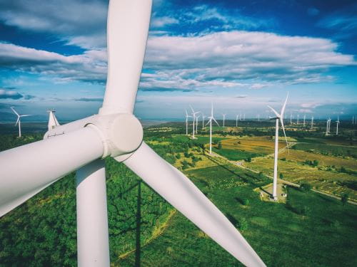 Wind turbines in a field