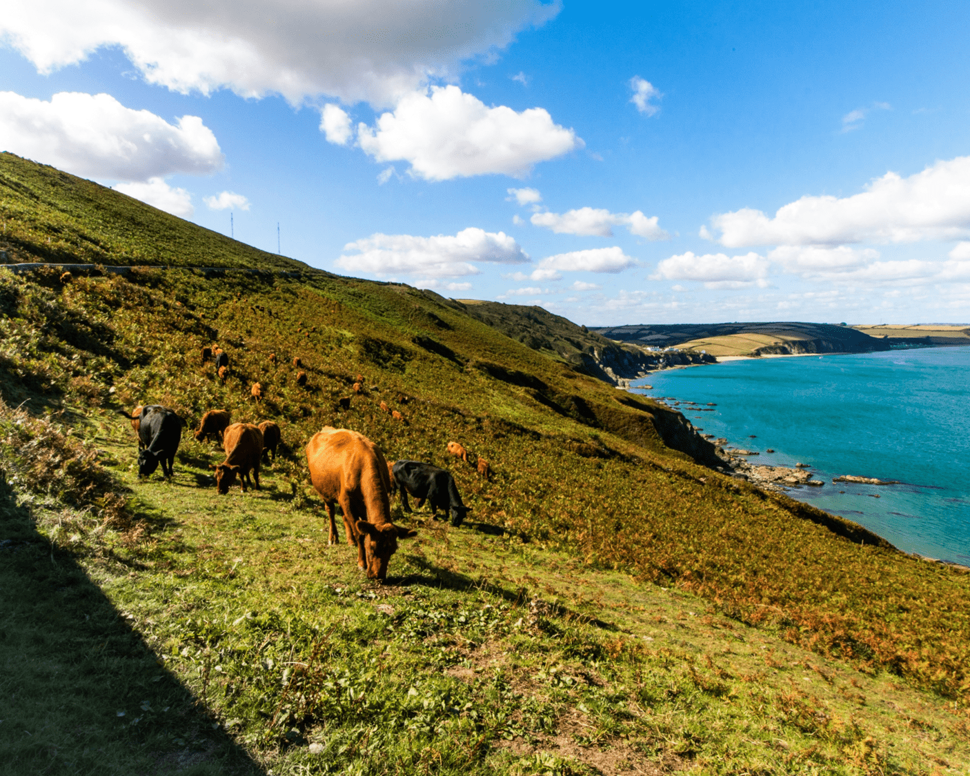 Devon Agriculture