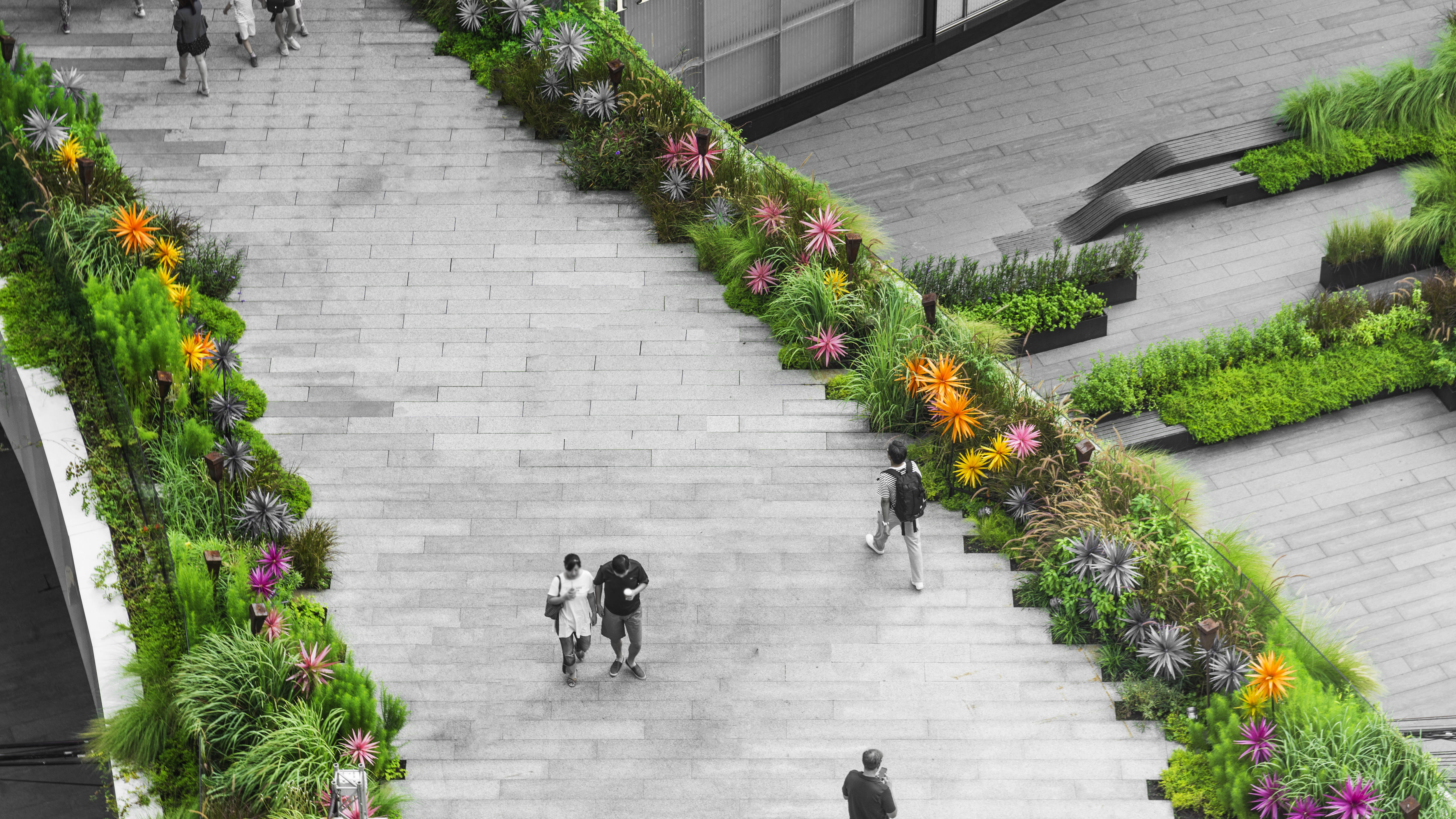 Greenery surrounding a black and white pathway with people on