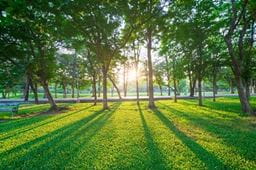 sustainability