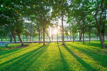 sustainability