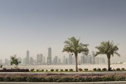 United Arab Emirates, image of palm trees with buildings in the background