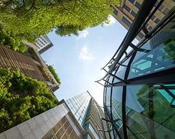 Park Hill regeneration