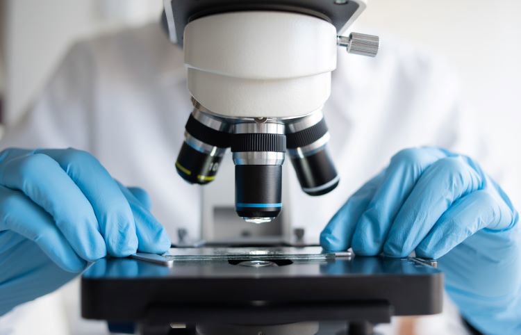 Life sciences
