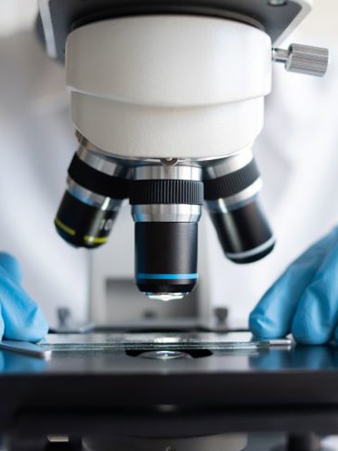 Life sciences