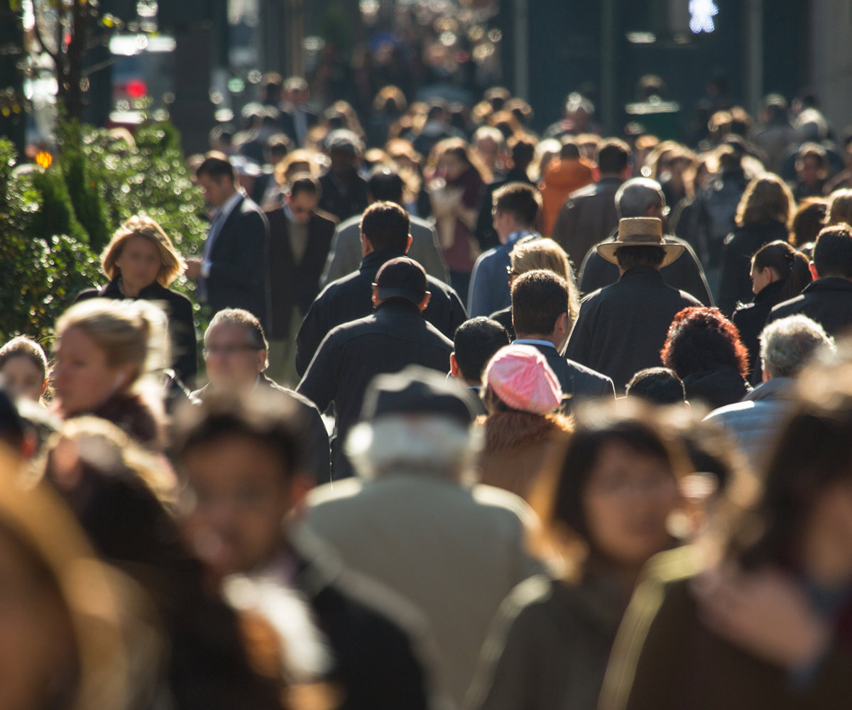 Employment and pensions