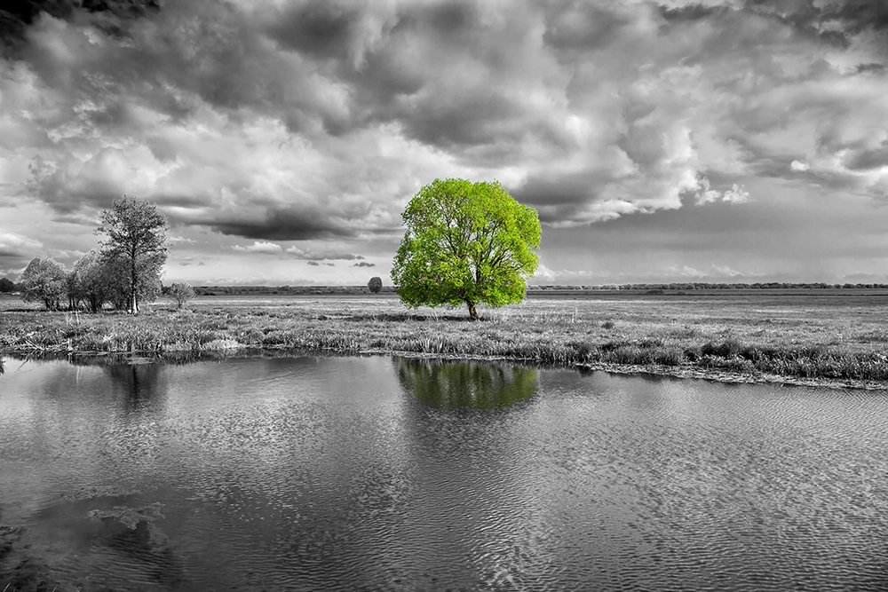 Carbon reduction plan