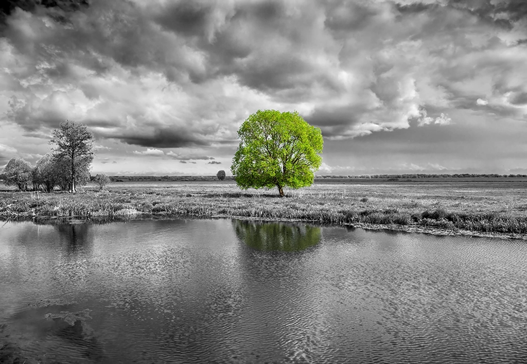 Carbon reduction plan