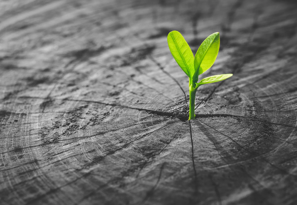 Supporting out people *to grow*