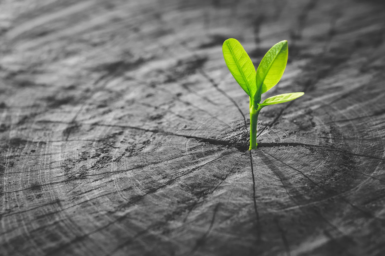 Supporting out people *to grow*
