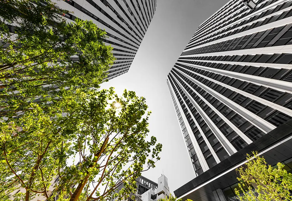 Environmental policy statement